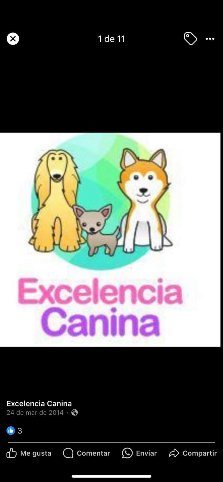 Excelencia Canina